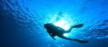 获评“上海年度最受欢迎”!松江这条旅游线路,你打卡了吗?