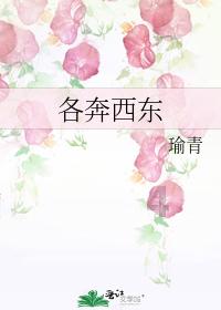 哥特舰队