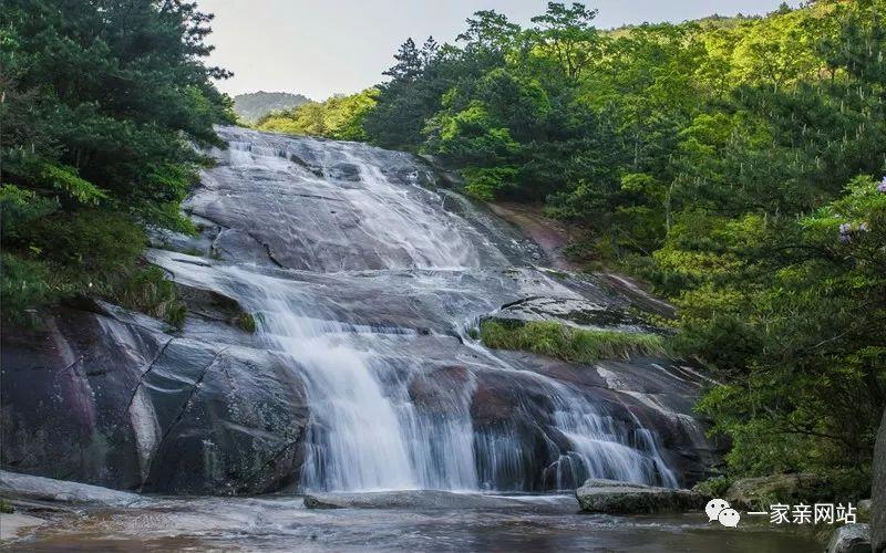 黄头黄叶危害大调整管理早预防