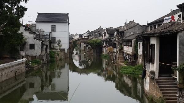 救援大胡子斗士