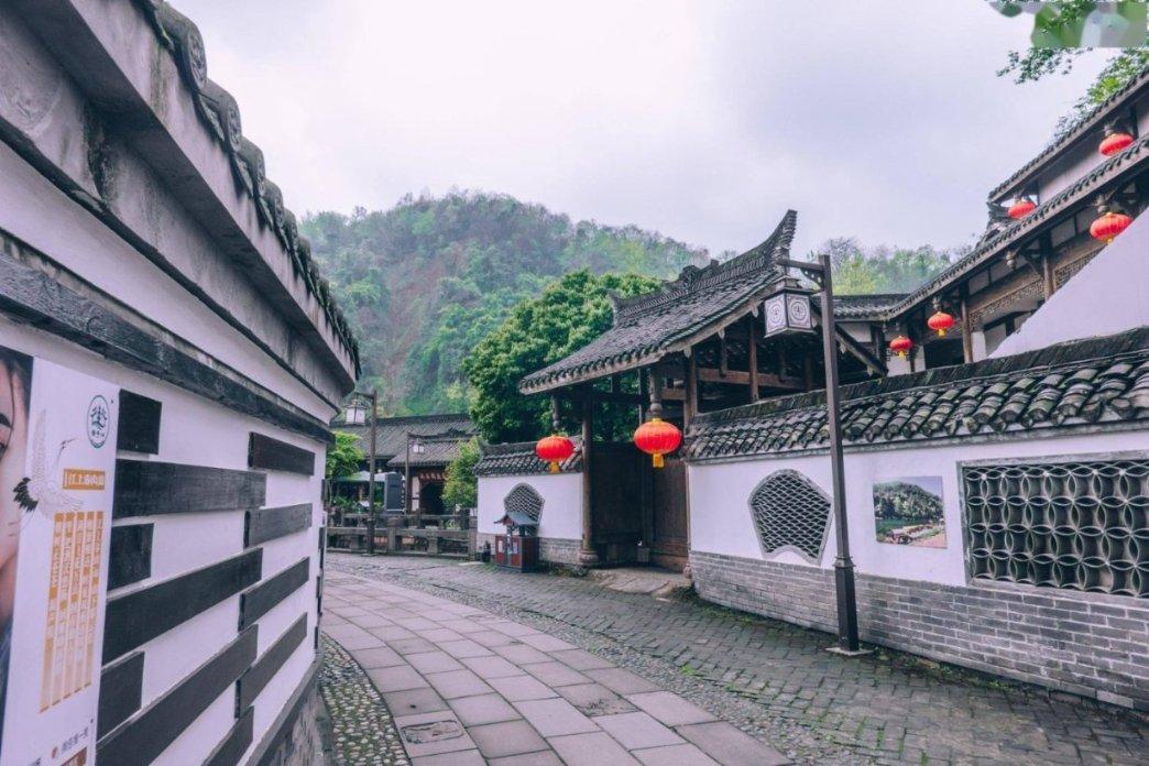 科技赋能谋发展 履职尽责促振兴