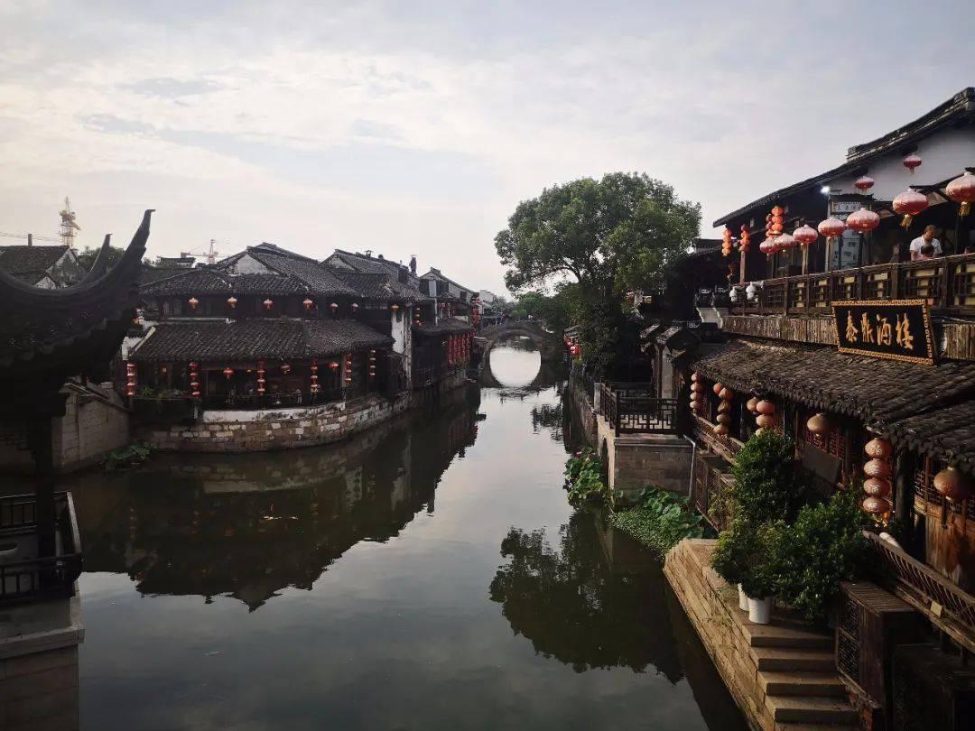 子不学，非所宜，是什么意思？游戏画面